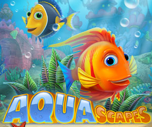 Aquascapes Aquascapes