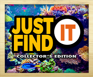 Just Find It Collector's Edition