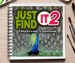 Just Find It 2 Collector's Edition