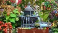 3 voor €10: Nature Escapes 3-4-5