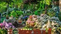 3 voor €10: Nature Escapes 3-4-5