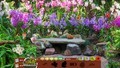 3 voor €10: Nature Escapes 3-4-5