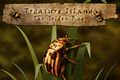 Treasure Island - The Golden Bug