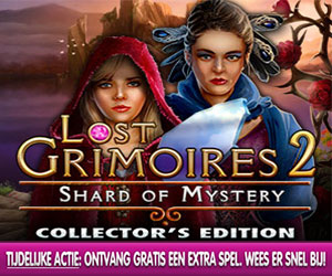 Lost Grimoires 2: Shard of Mystery Collector's Edition + Extra Spel Lost Grimoires 2: Shard of Mystery Collector's Edition + Extra Spel