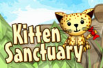 Kitten Sanctuary