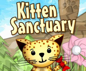 Kitten Sanctuary