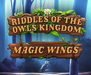Riddles of the Owls Kingdom - Magic Wings