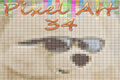 Pixel Art 34