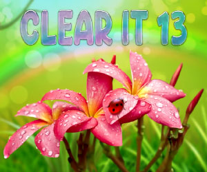 Clear It 13