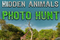 Hidden Animals - Photo Hunt