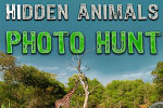 Hidden Animals - Photo Hunt