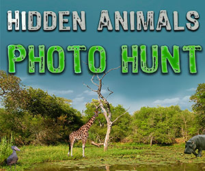 Hidden Animals - Photo Hunt